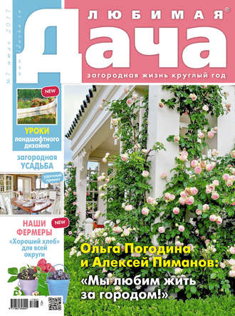 . Любимая дача №07/2017