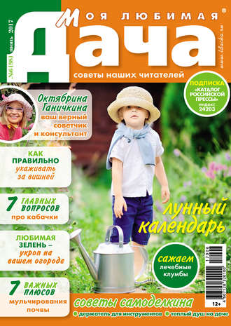 . Моя любимая дача №06/2017