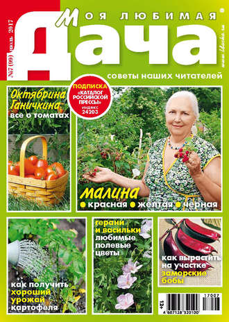 . Моя любимая дача №07/2017