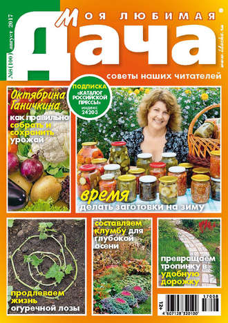 . Моя любимая дача №08/2017