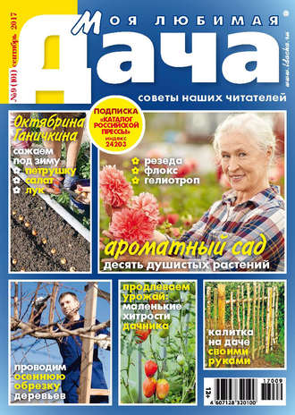 . Моя любимая дача №09/2017