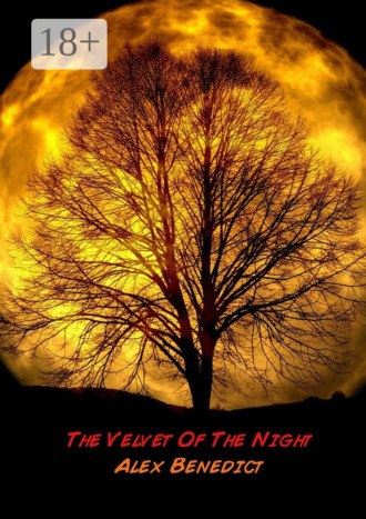 . The Velvet Of The Night
