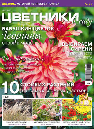 . Цветники в саду №10/2017