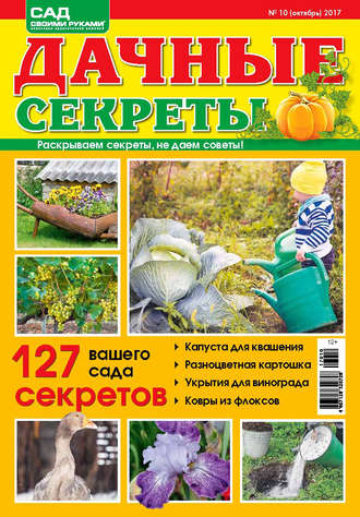 . Сад своими руками. Дачные секреты №10/2017