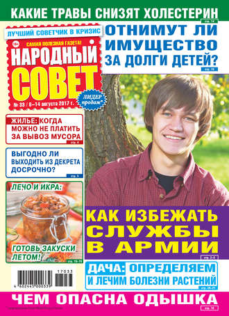 . Народный совет №33/2017