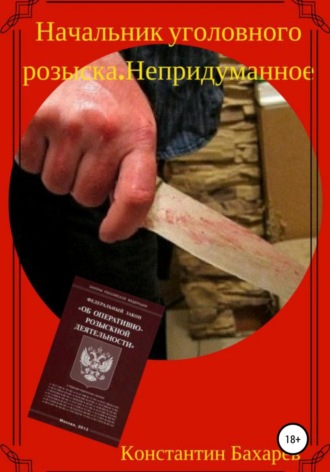 . Начальник уголовного розыска. Непридуманное