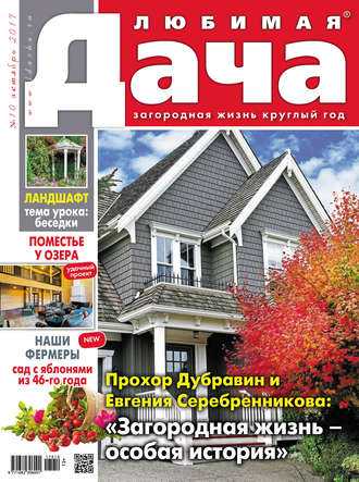 . Любимая дача №10/2017