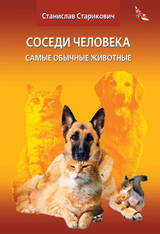Станислав Старикович. Соседи человека. Самые обычные животные
