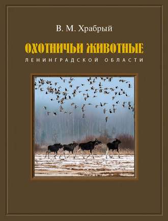 В. М. Храбрый. Охотничьи животные Ленинградской области