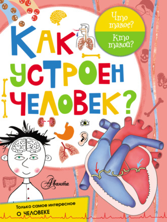 . Как устроен человек?