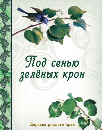 . Под сенью зеленых крон. Деревья родного края