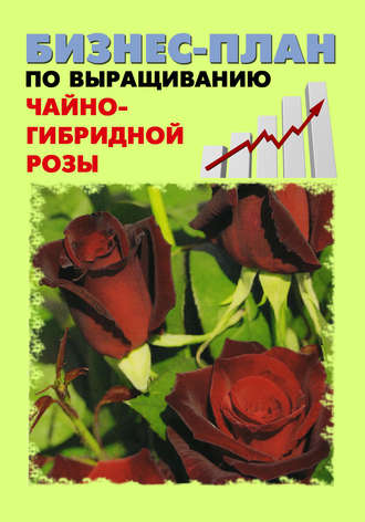 . Бизнес-план по выращиванию чайно-гибридной розы