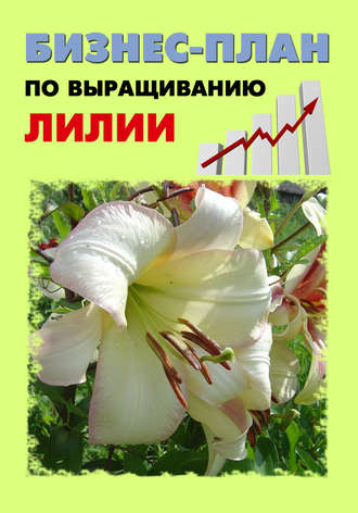 Павел Шешко. Бизнес-план по выращиванию лилии