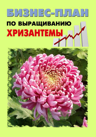 . Бизнес-план по выращиванию хризантемы