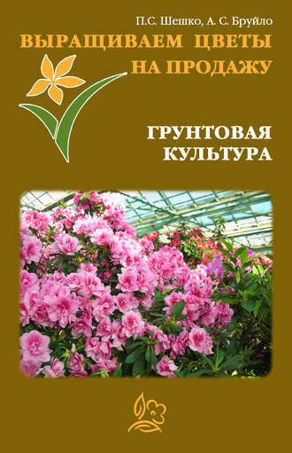Павел Шешко. Выращиваем цветы на продажу. Грунтовая культура
