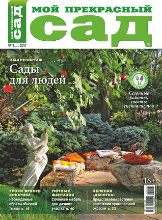 . Мой прекрасный сад №11/2017