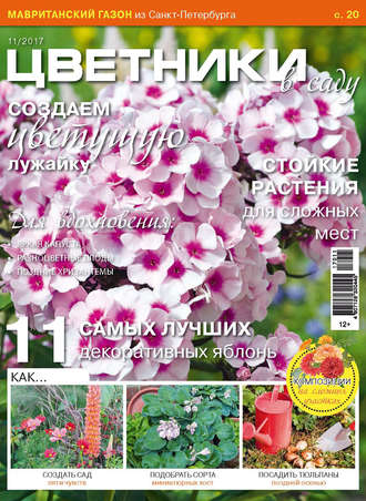 . Цветники в саду №11/2017