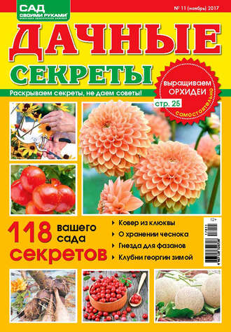 . Сад своими руками. Дачные секреты №11/2017