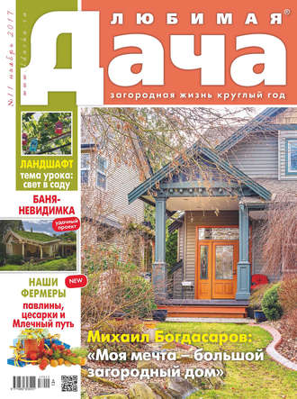 . Любимая дача №11/2017