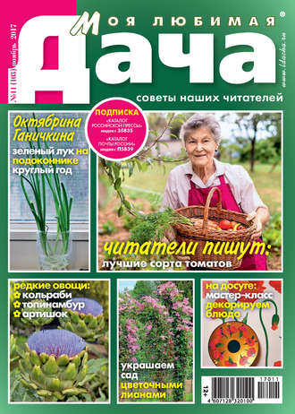 . Моя любимая дача №11/2017