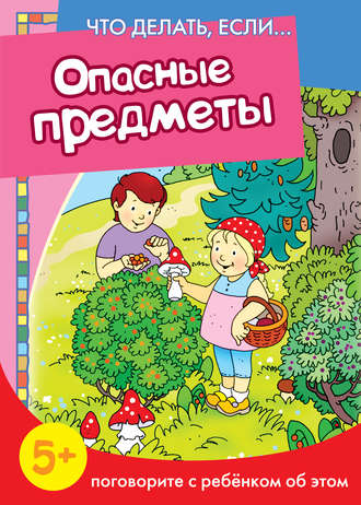 Н. Н. Евдокимова. Опасные предметы. Поговорите с ребенком об этом