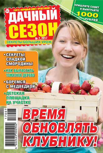 . Дачный сезон №07/2017