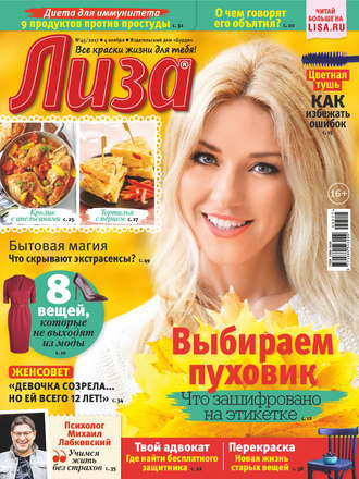 . Журнал «Лиза» №45/2017
