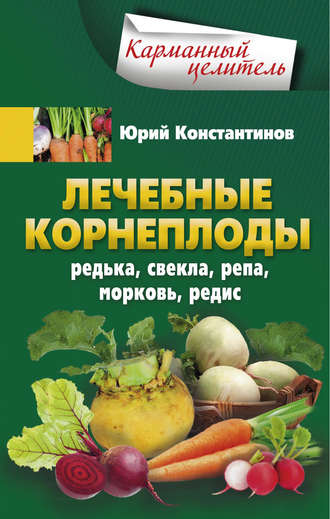. Лечебные корнеплоды. Редька, свекла, репа, морковь, редис