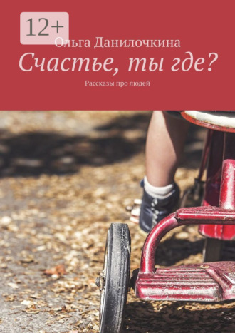 . Счастье, ты где? Рассказы про людей