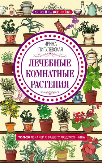 . Лечебные комнатные растения. ТОП-20 лекарей с вашего подоконника