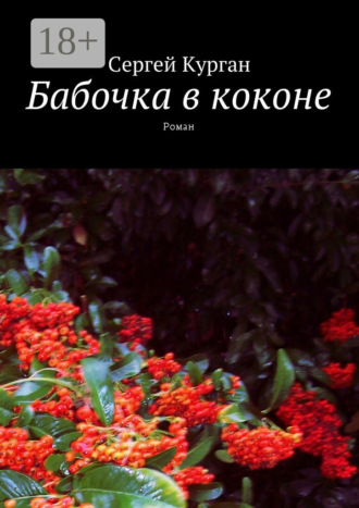 Сергей Курган. Бабочка в коконе. Роман
