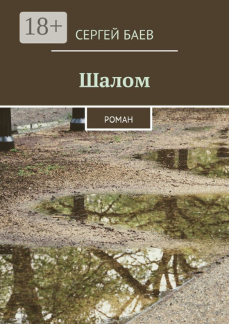 Сергей Баев. Шалом. Роман