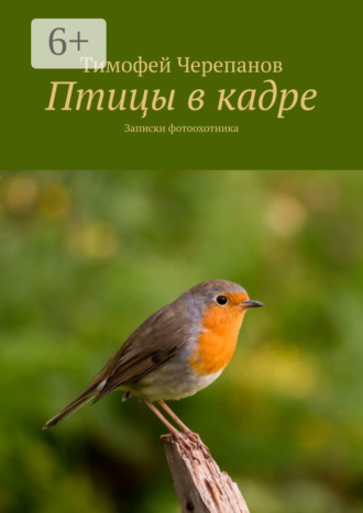 . Птицы в кадре. Записки фотоохотника