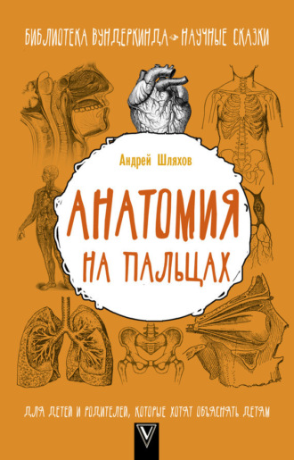 . Анатомия на пальцах. Для детей и родителей, которые хотят объяснять детям