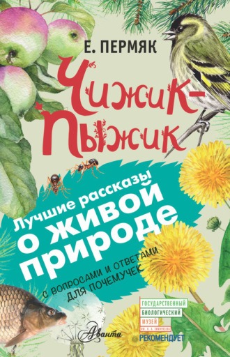 . Чижик-Пыжик. С вопросами и ответами для почемучек