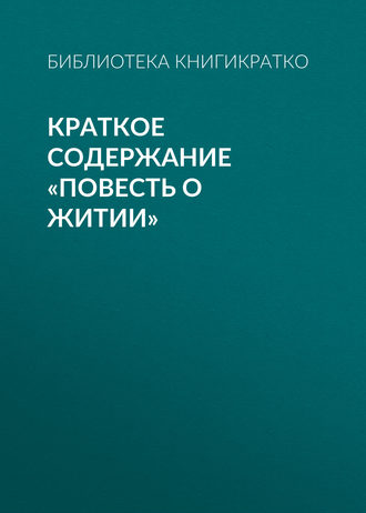 . Краткое содержание «Повесть о житии»