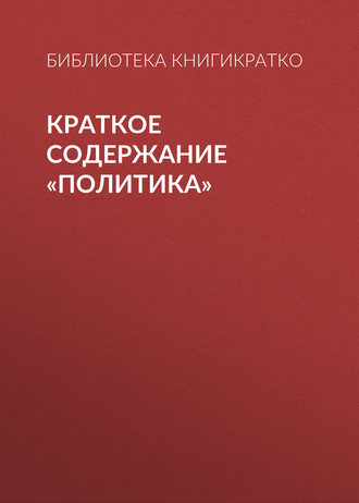 . Краткое содержание «Политика»