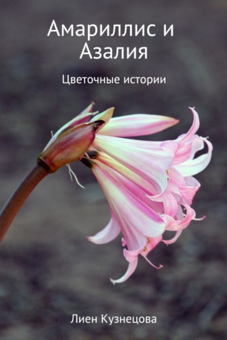. Цветочные истории. Амариллис и Азалия