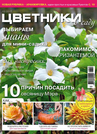 . Цветники в саду №12/2017