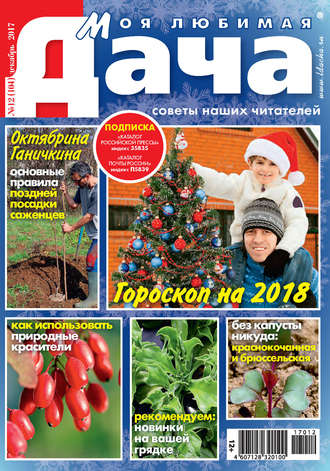 . Моя любимая дача №12/2017