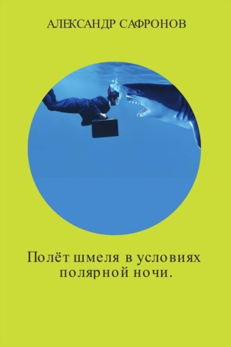 . Полёт шмеля в условиях полярной ночи. Сборник рассказов