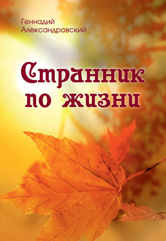 . Странник по жизни (сборник)