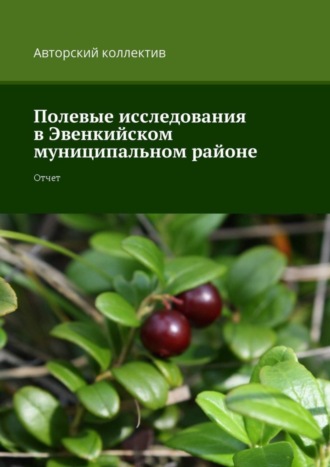 Антонина Игоревна Филько. Полевые исследования в Эвенкийском муниципальном районе. Отчет