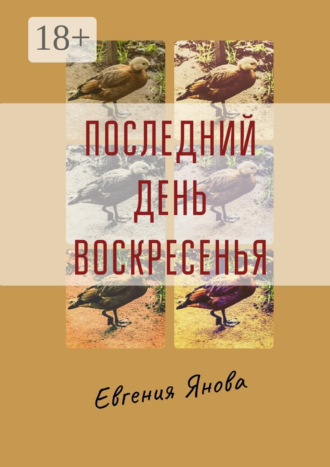 Евгения Янова. Последний день воскресенья