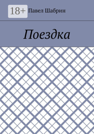 Павел Шабрин. Поездка