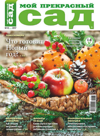 . Мой прекрасный сад №12/2017