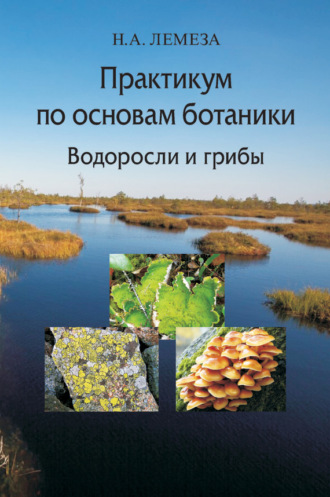 . Практикум по основам ботаники. Водоросли и грибы