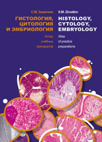 . Гистология, цитология и эмбриология. Атлас учебных препаратов / Histology, Cytology, Embriology. Atlas of practice preparations