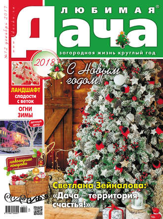 . Любимая дача №12/2017