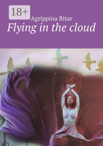 . Flying in the cloud
